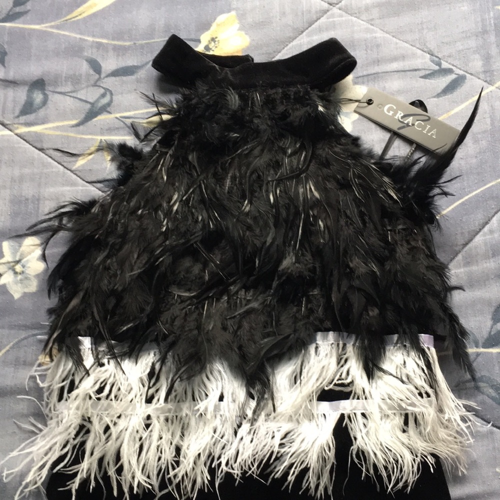 Gracia velvet feather dress